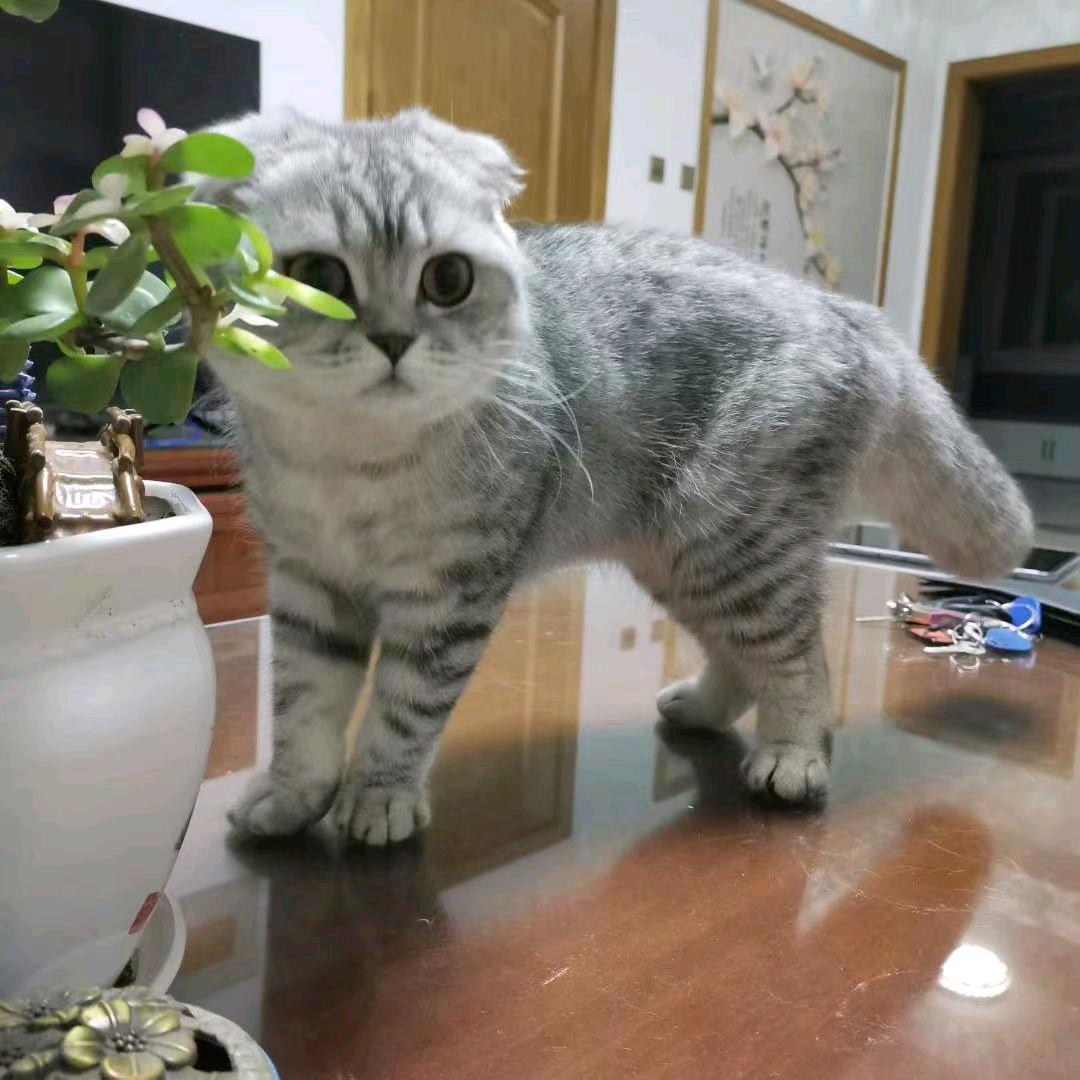 江滨