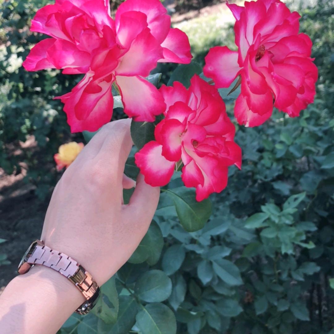 李百万和任千万