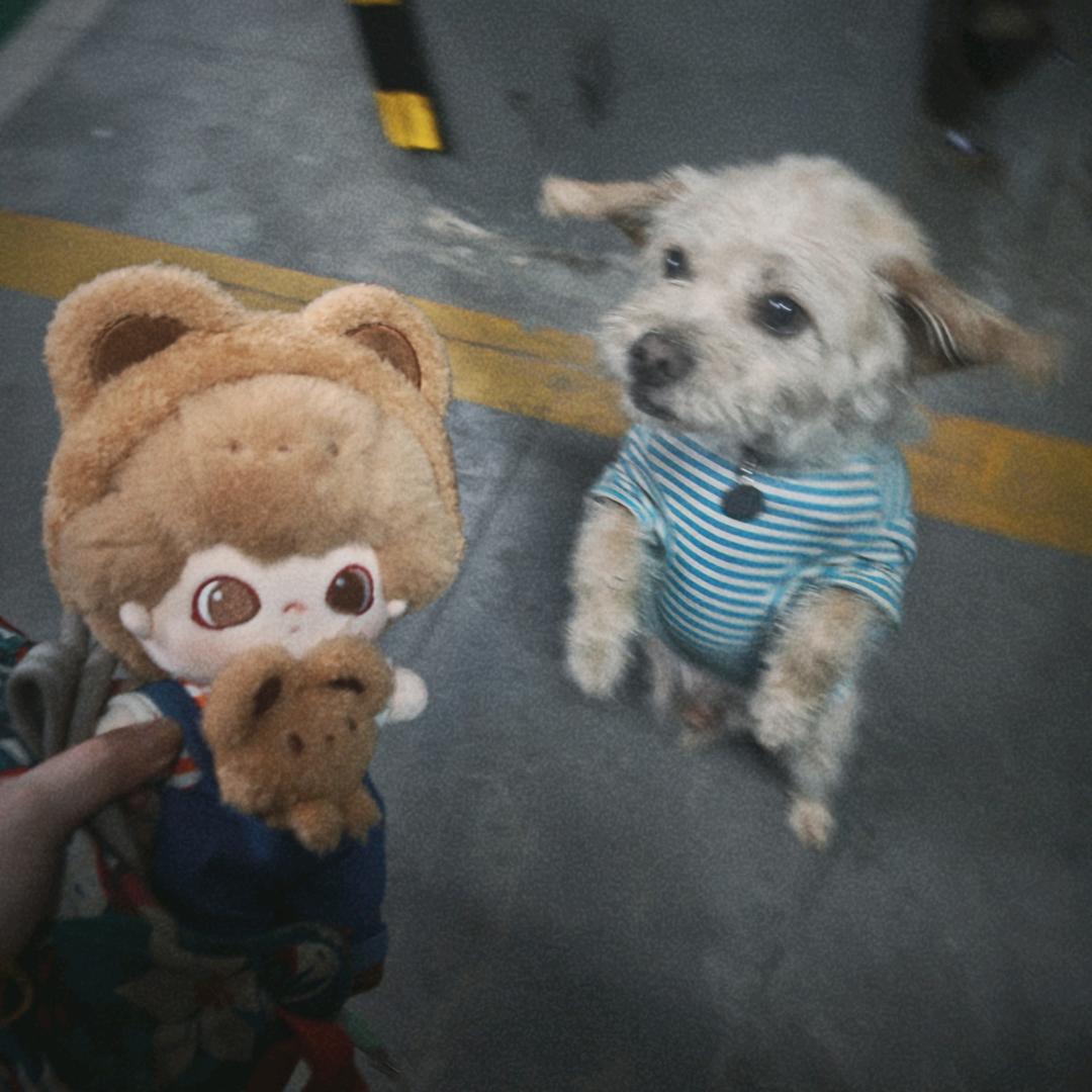 好久不见不见的竹轮