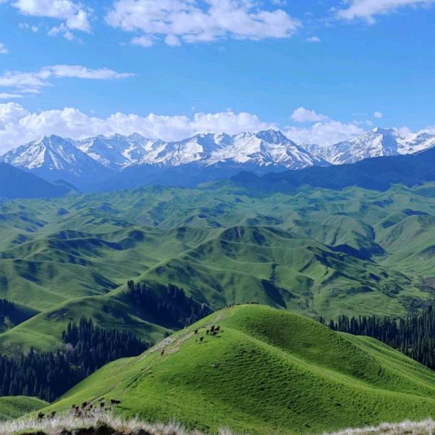 不负年华@不负卿\_