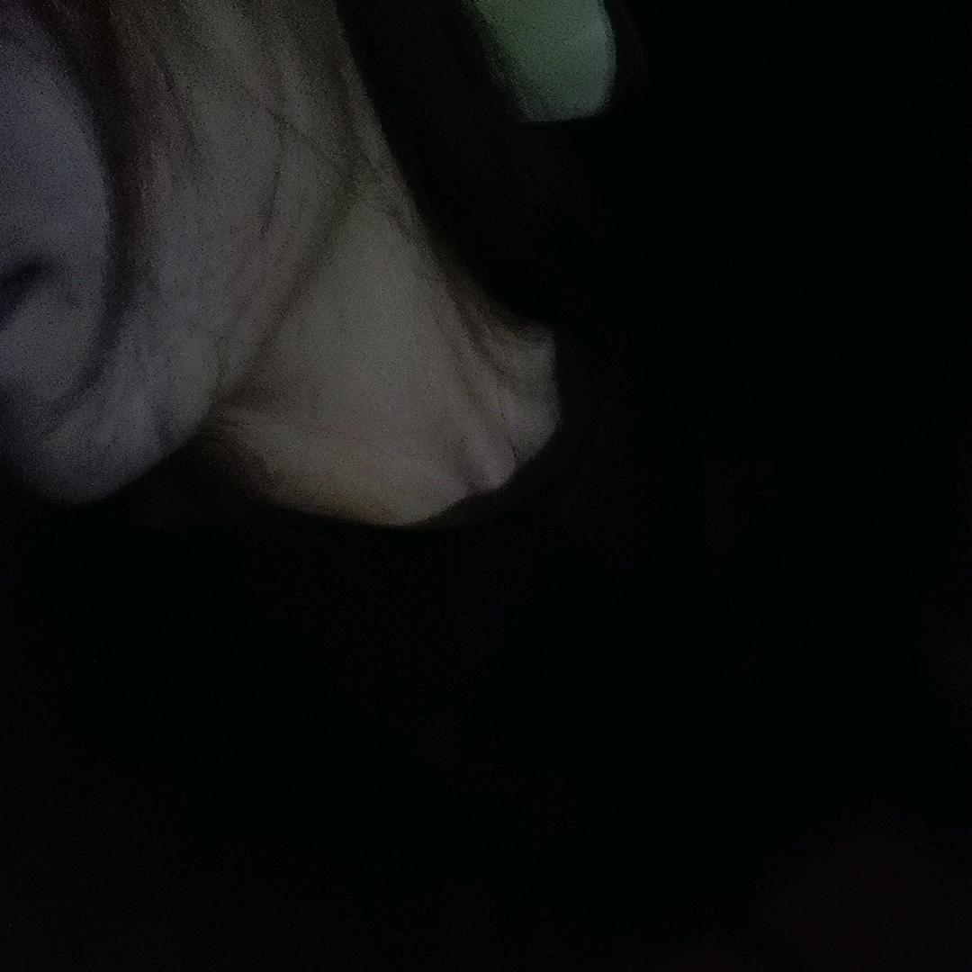 ZSLnzhYlYH