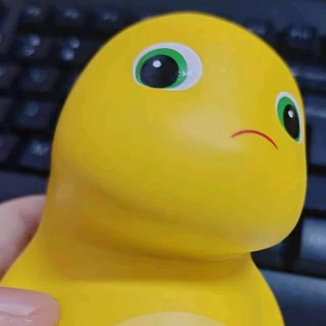 刘同学Vlog