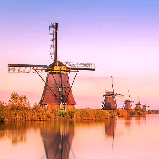 超级芒的芒果派🥭