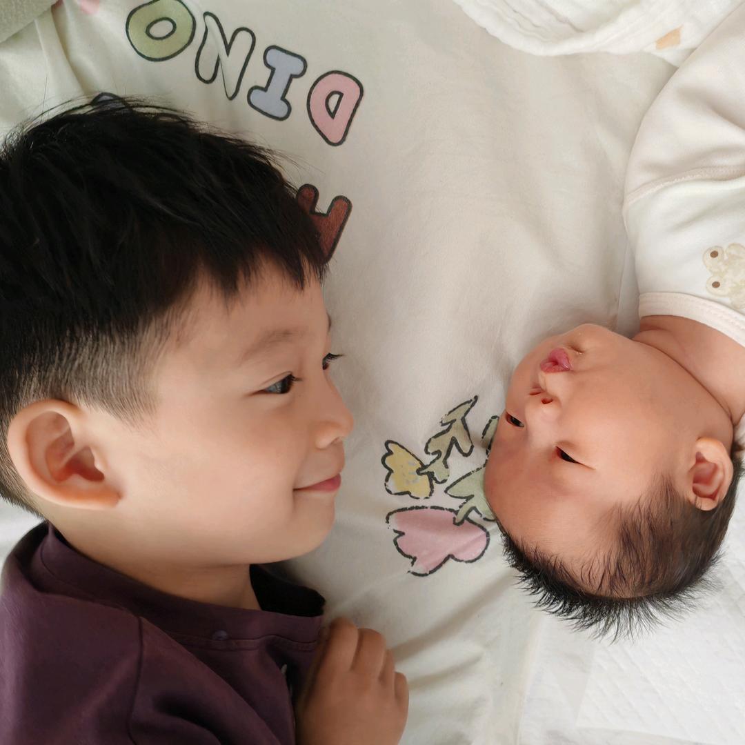 ⭐双子宸星⭐