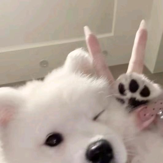 云亦
