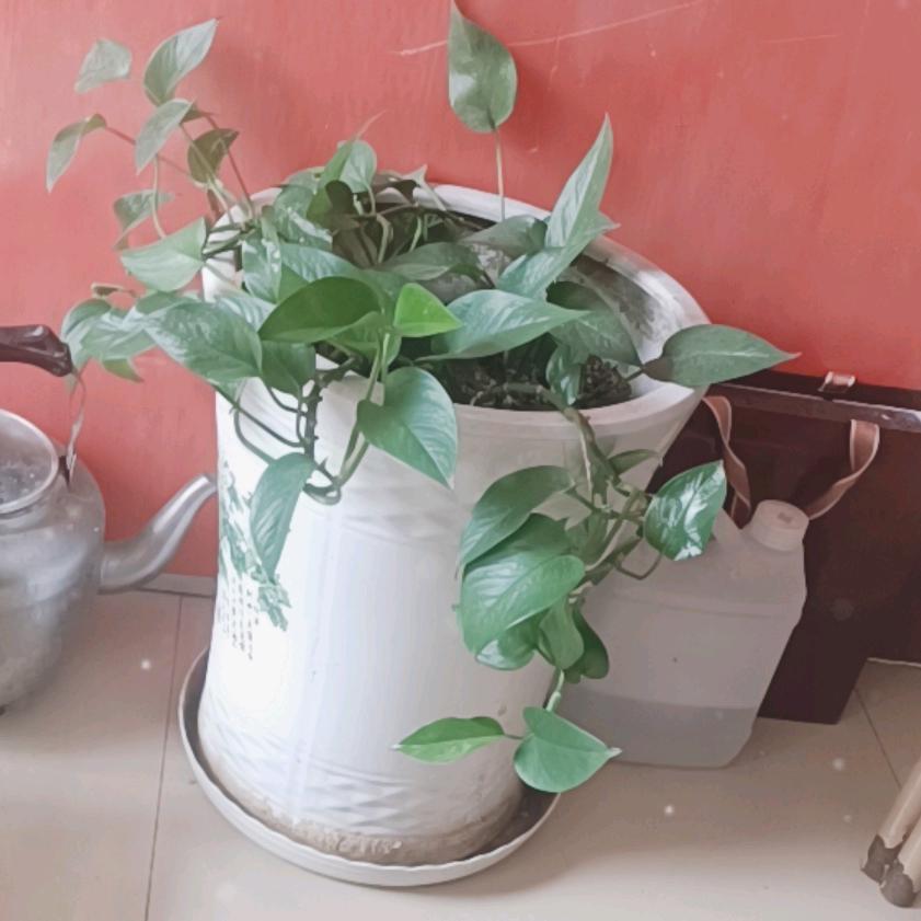 😁😁大家好😄😄
