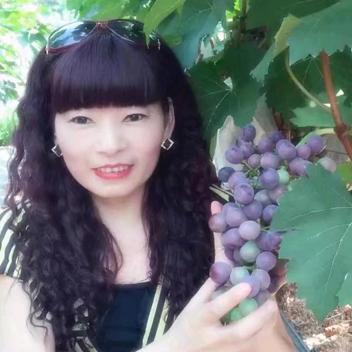 米易黄氏非诚勿扰