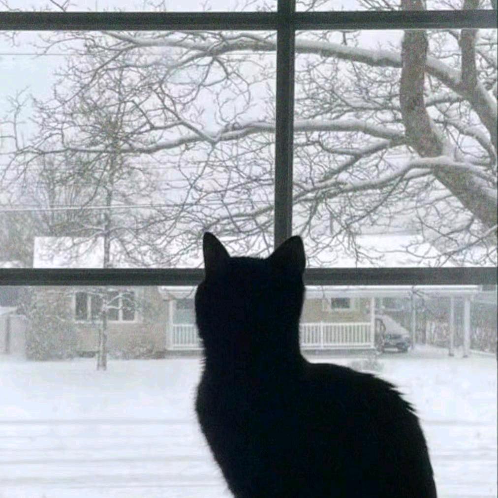 麦当劳板烧鸡腿堡