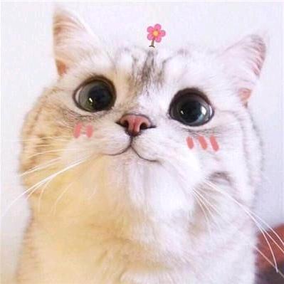 人生如梦
