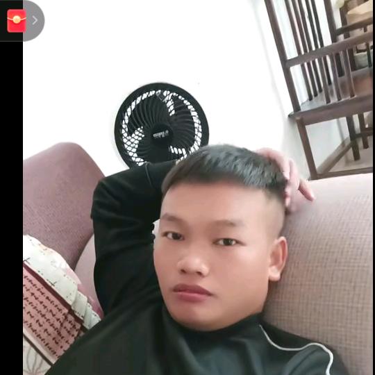 🌿((灵木蛇影))🌿