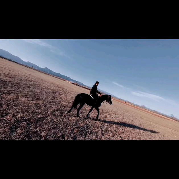 爱骑马的三金🐴