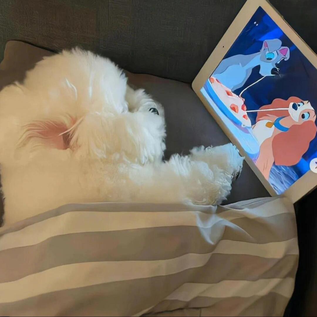 σωτηρία