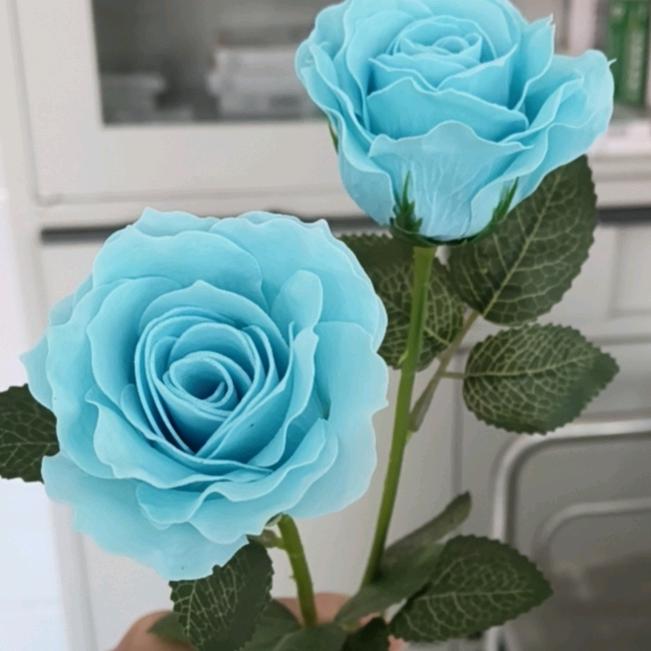 🍒🍒🍒🍒柚子🍒🍒🍒🍒