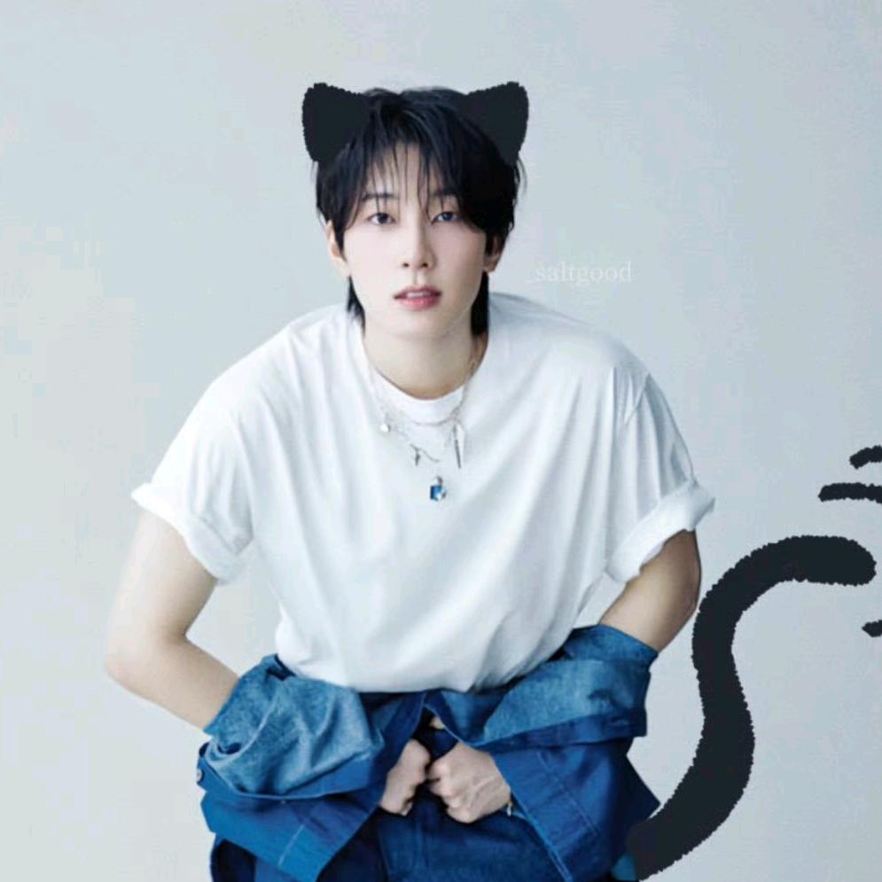 圆猫猫（见过徐明浩版）🌠
