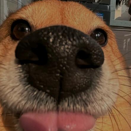 AAA枣庄建材批发