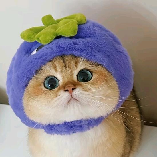 冰冰🍍⁰⁸²⁷