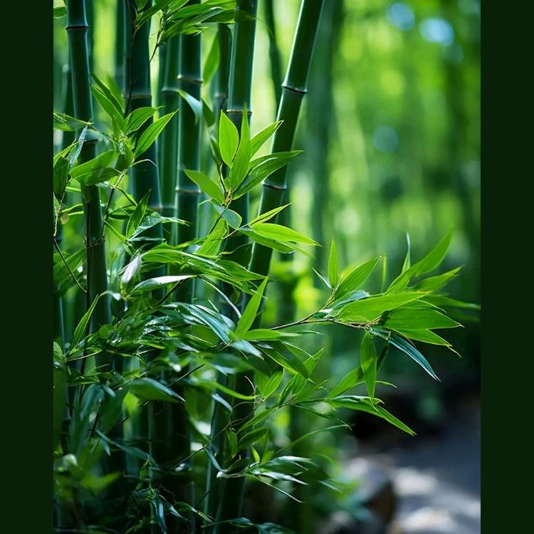顺理成张