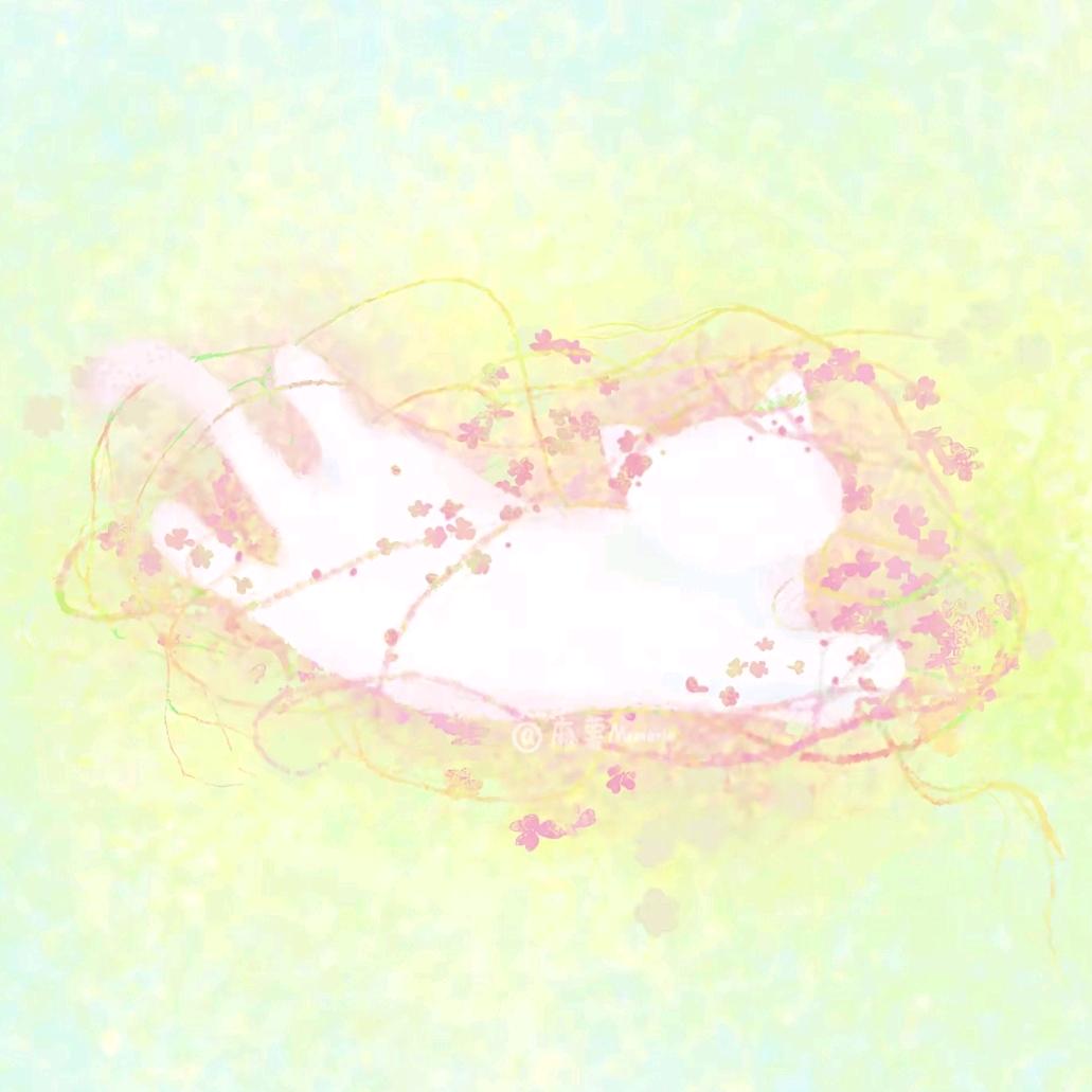 我的ID是江南美人