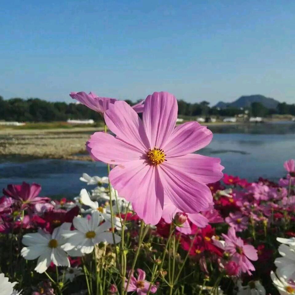 听风ﾉ☀