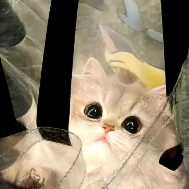 小三点