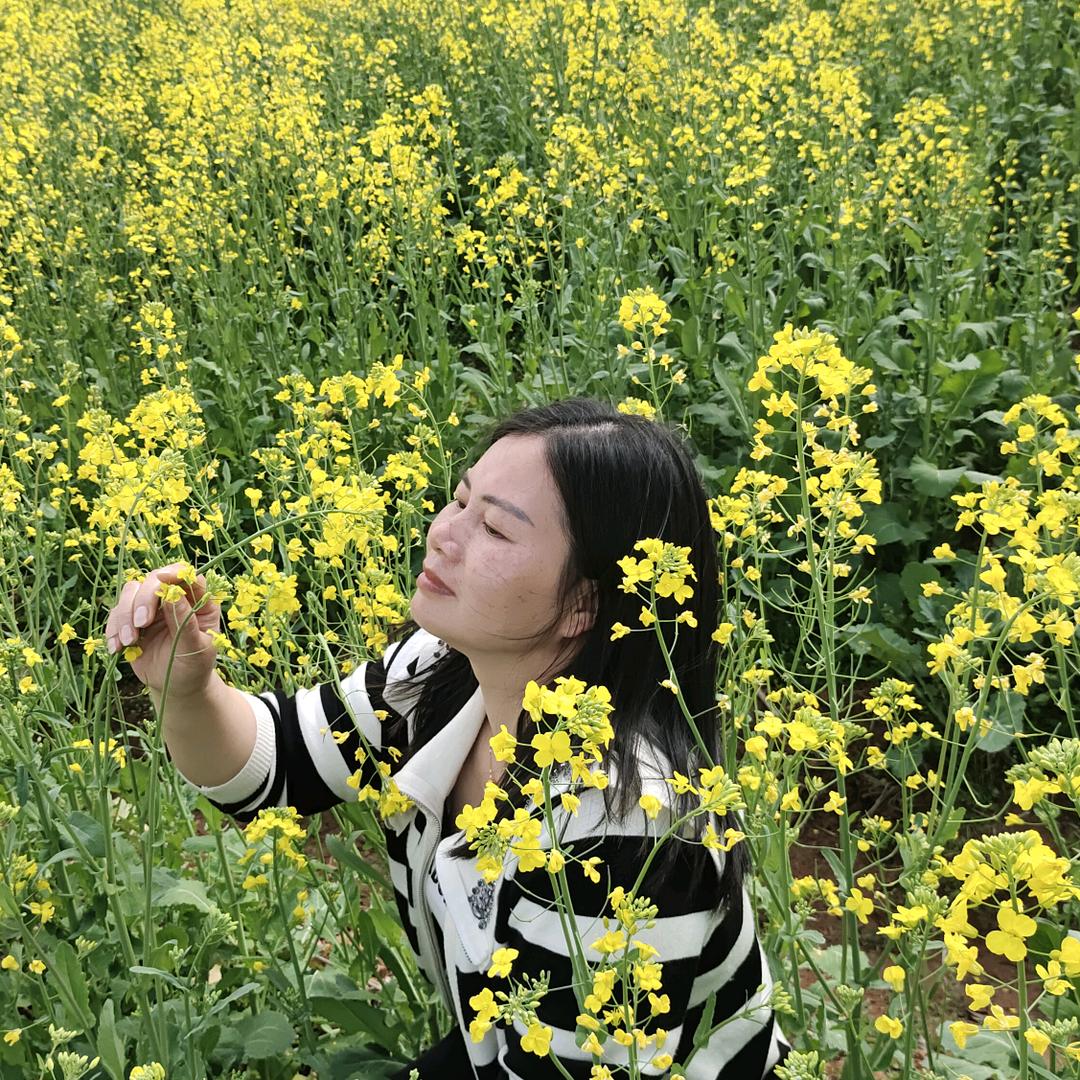 花开彼岸