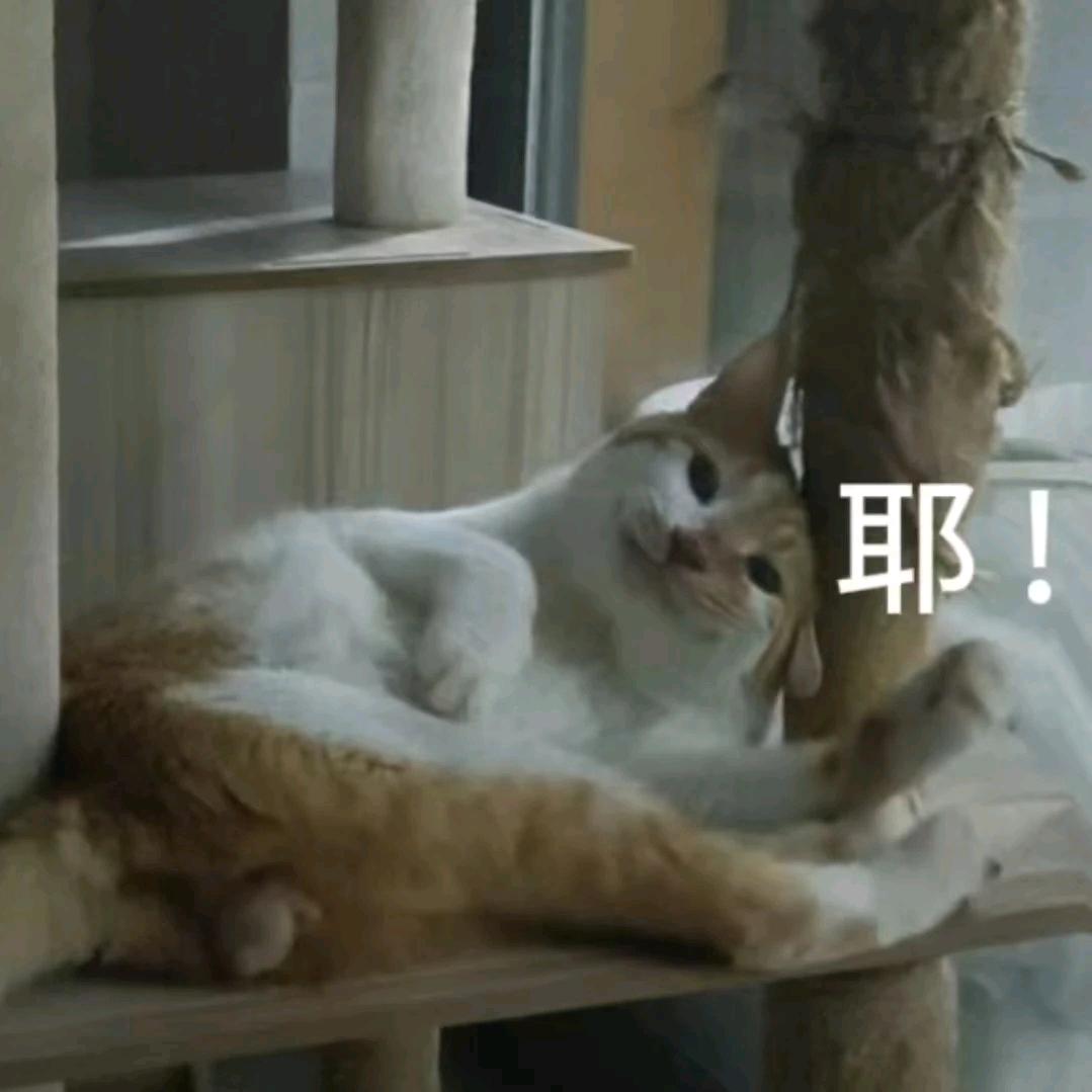林耀东