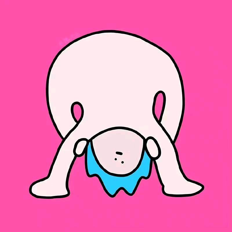 芷苡