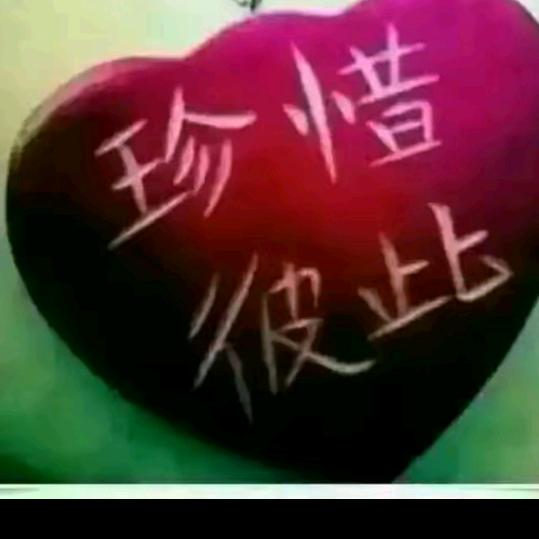 一生所爱