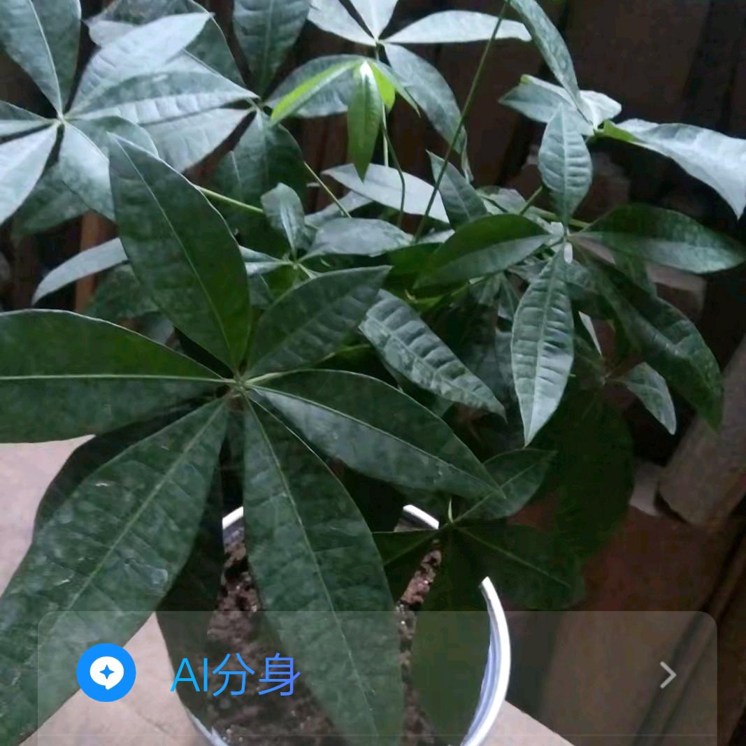 快乐的我