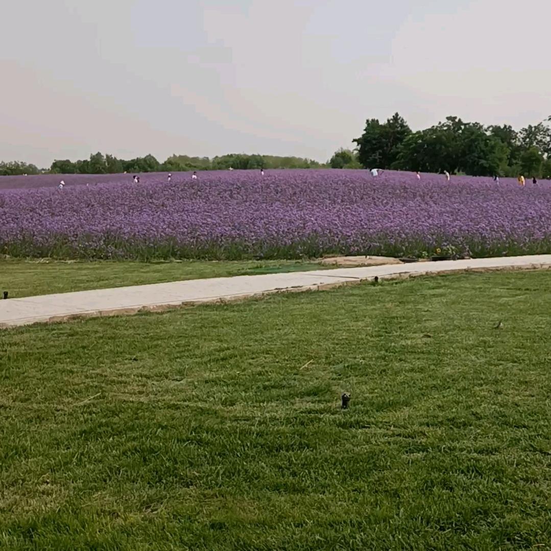 珍姐—开锁—换指纹锁