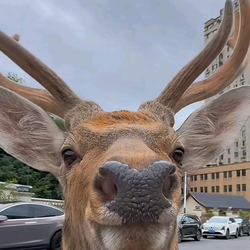 这个人一点也不浪漫