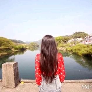 秋天柿子树