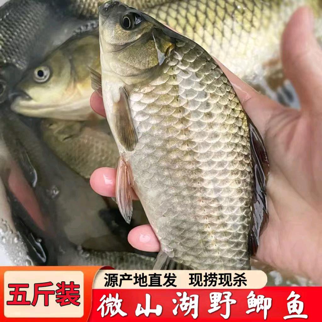 微山湖生鲜特产店