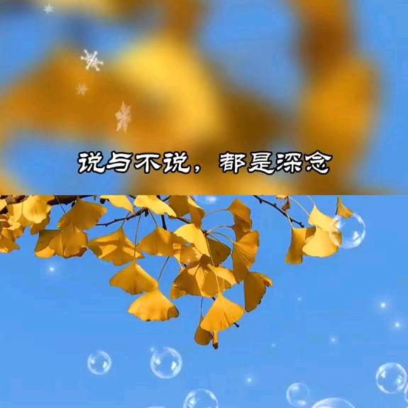 Shennian深念( ˘ ³˘)♥