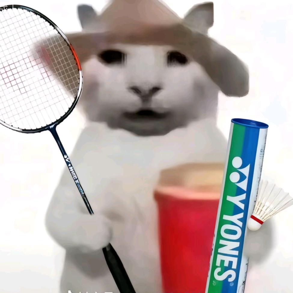 香的洗袜袜.🏸️