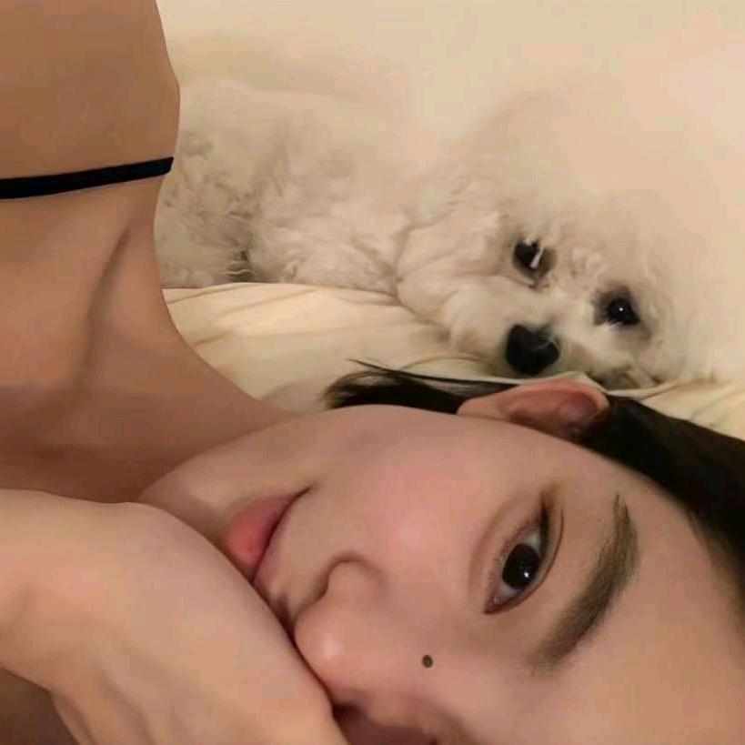 贰拾玖