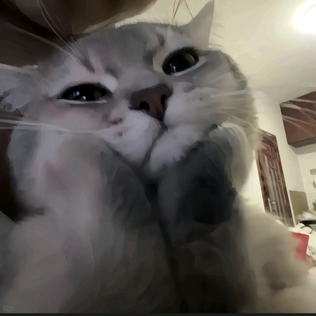 公子书