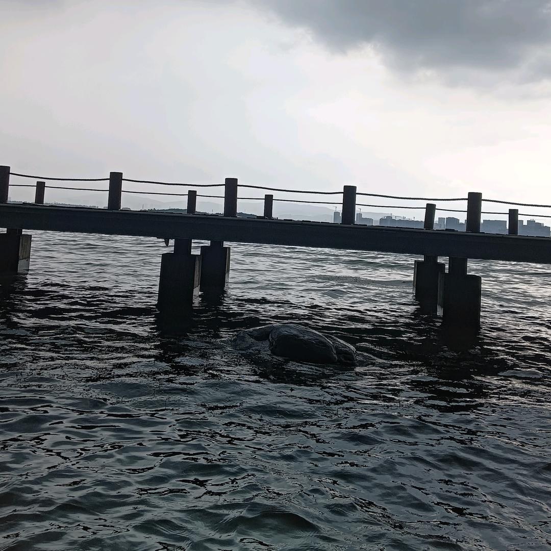 张自在