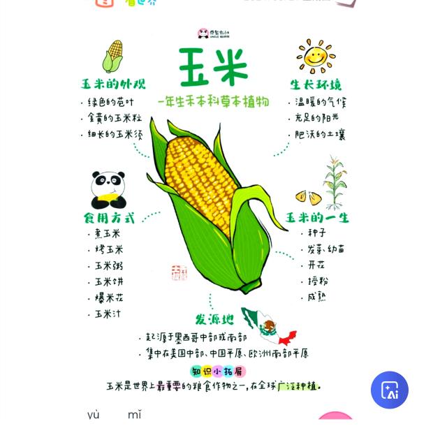 福哥《减肥中》