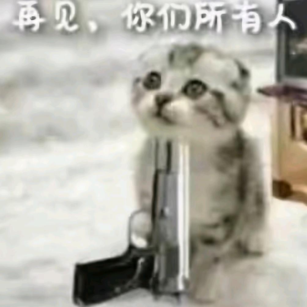 都是你们害的我