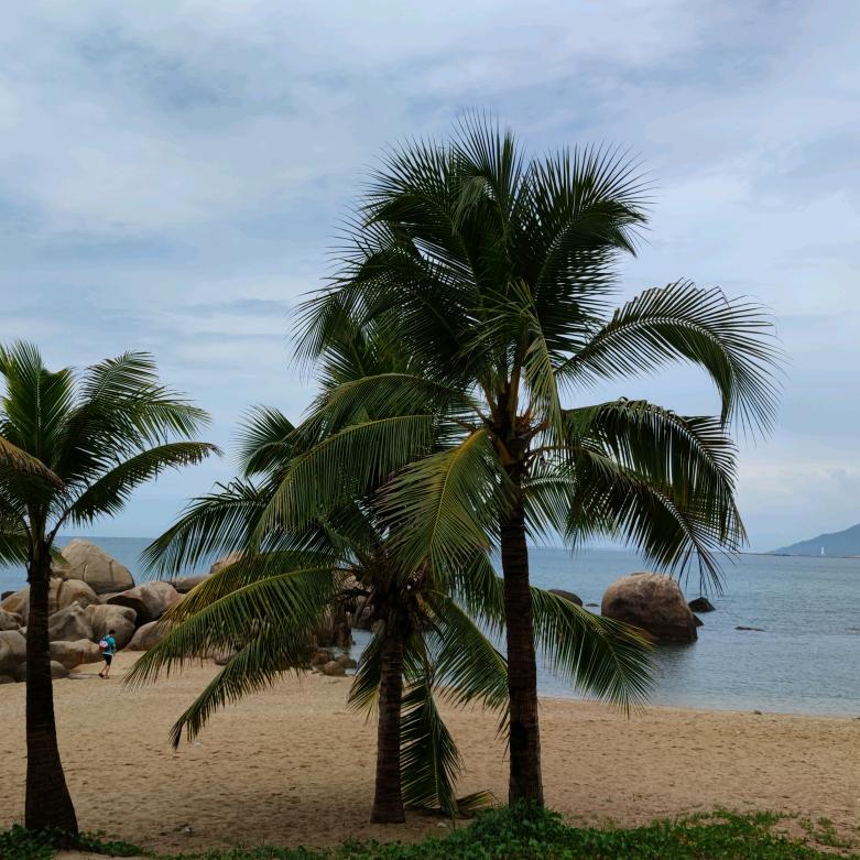 小军正能量(2)一