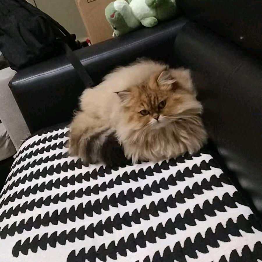 ✿三秋叶ξ( ✿＞◡❛)