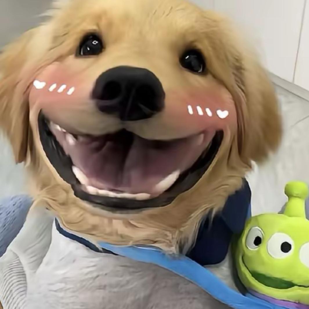 戈小清新