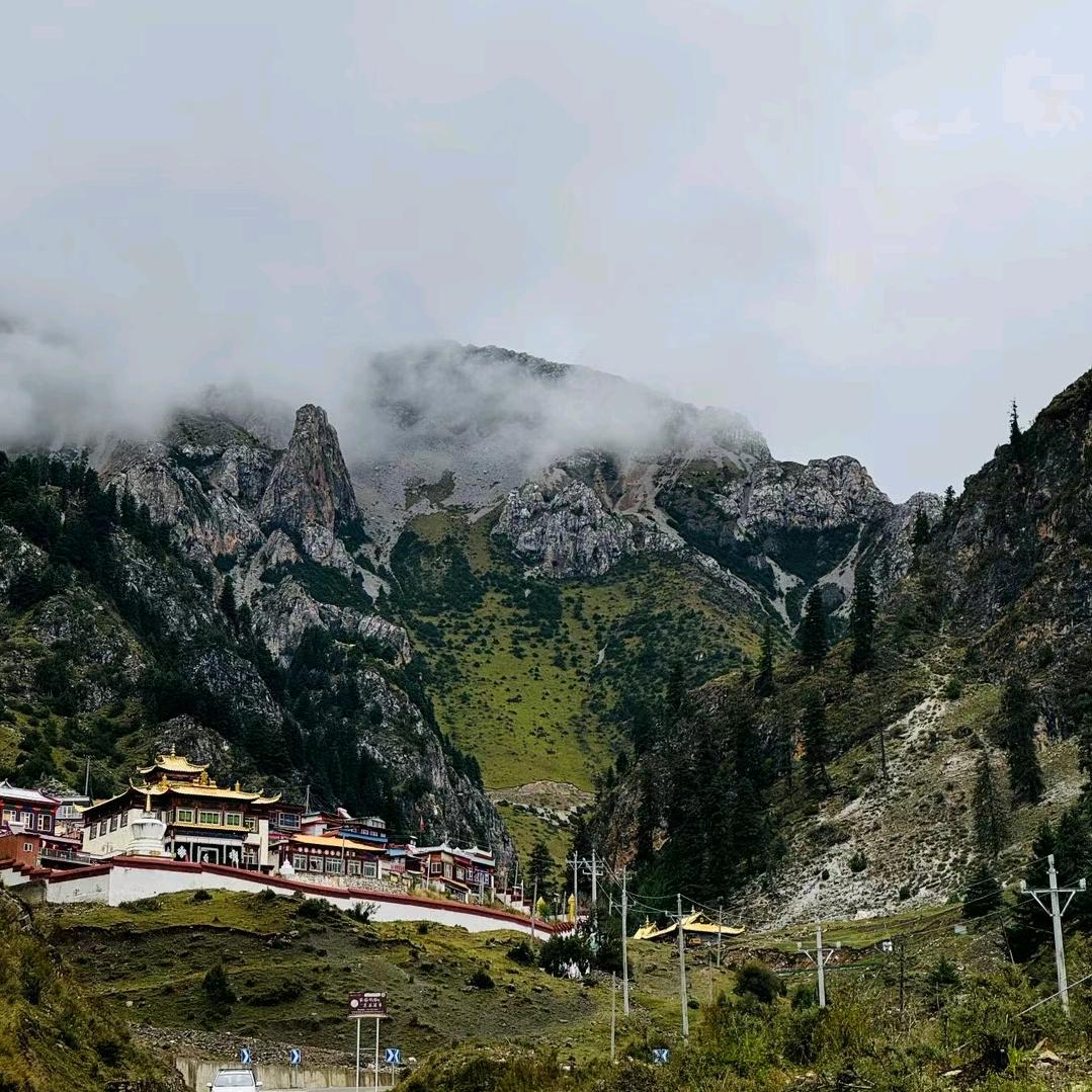 宋师弟