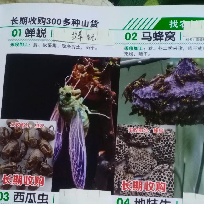 抹不掉的记忆