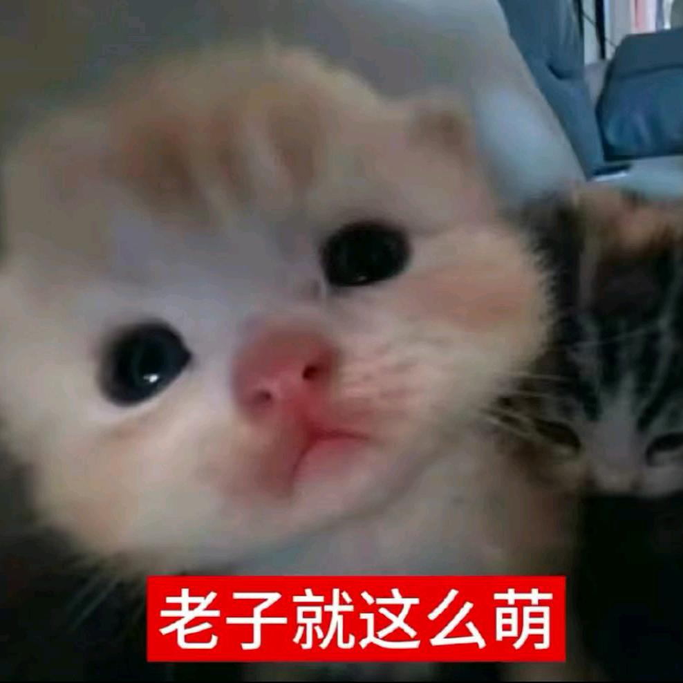 讨