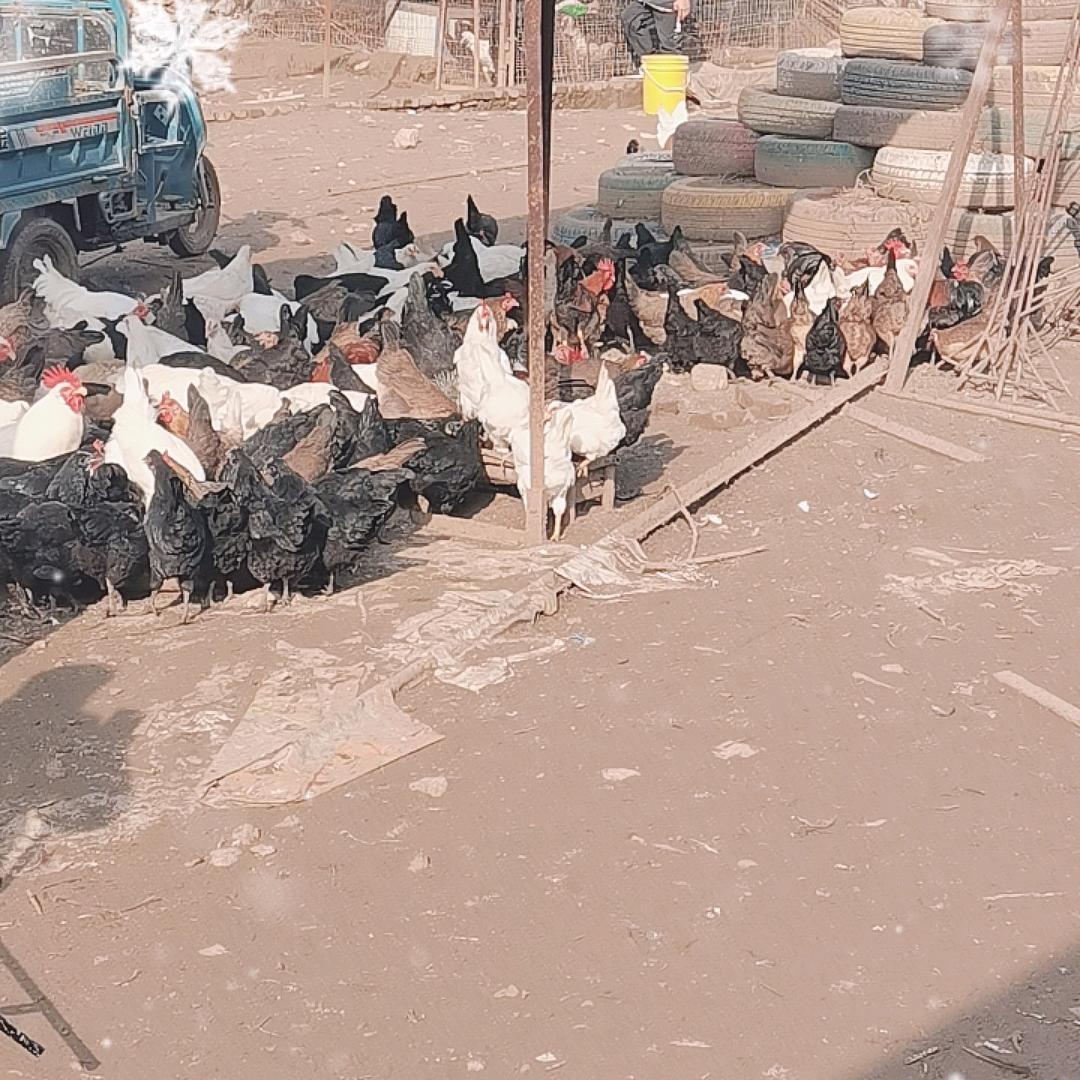 云雀优选好物分享