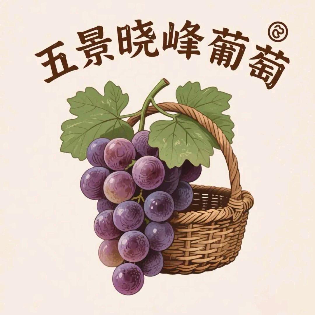 五景晓峰葡萄专业合作社