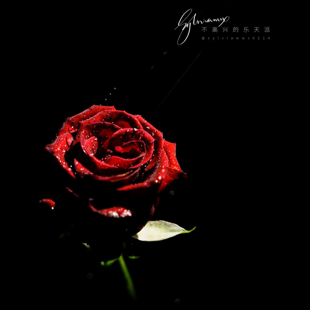 心里 ♥🌹
