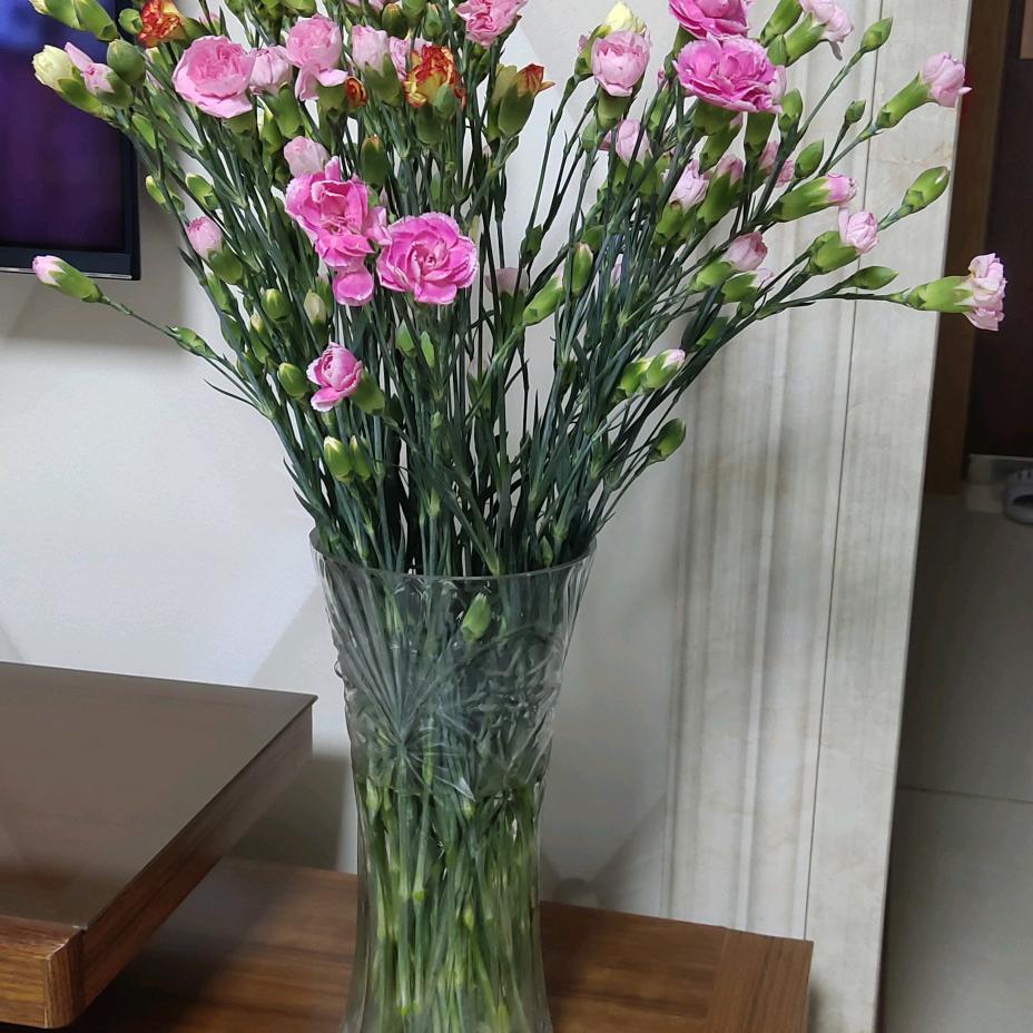 荣成宏达店,樊春舫